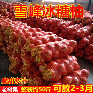 湖南怀化安江雪峰冰糖柚50斤新鲜水果老树柚药柚子安福脆甜金兰柚