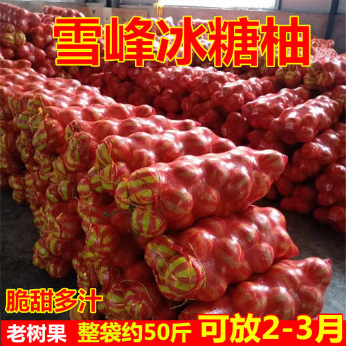 湖南怀化安江雪峰冰糖柚50斤新鲜水果老树柚药柚子安福脆甜金兰柚