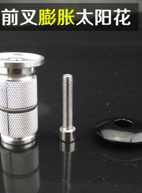 自行车膨胀花心 山地车碳纤前叉头管吊芯 车头碗锁芯螺丝碗组配件