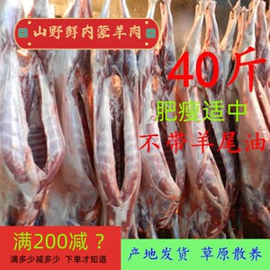 内蒙古锡盟羊肉新鲜现杀烤全羊整只烧烤商用10-60斤羊白条羊酮体