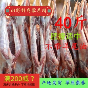 内蒙古草地羊肉新鲜现杀烤全羊整只烧烤商用10-60斤羊白条羊酮体