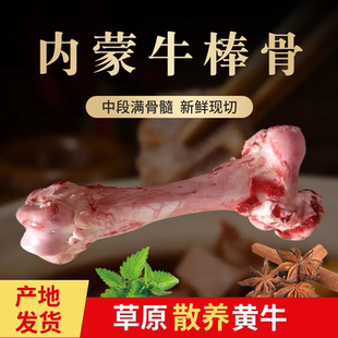 牛棒骨新鲜骨髓中段内蒙牛大骨筒骨烧烤食材腿骨草地散养产地发货