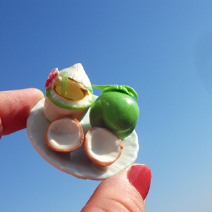 泰国当地购买冰箱贴 普吉岛 椰子 芒果饭 山竹 多款 水果 美食