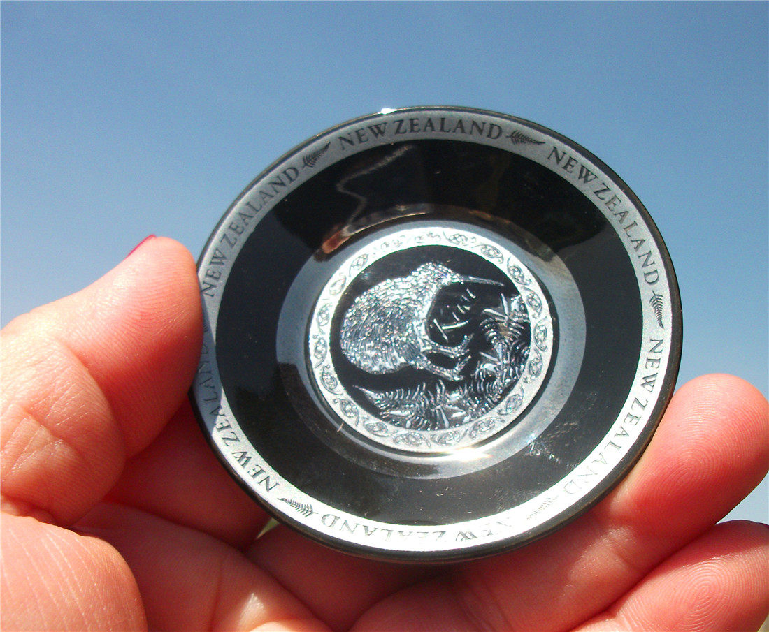 NEW ZEALAND LOCAL BUY FRIDGE MAGNET NEW ZEALAND KIWI NEW ZEALAND FERN DISC WELLINGTON