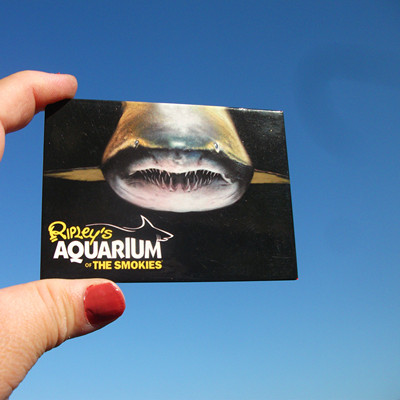 美国当地购买冰箱贴 ripley's aquarium of the smokies 多款