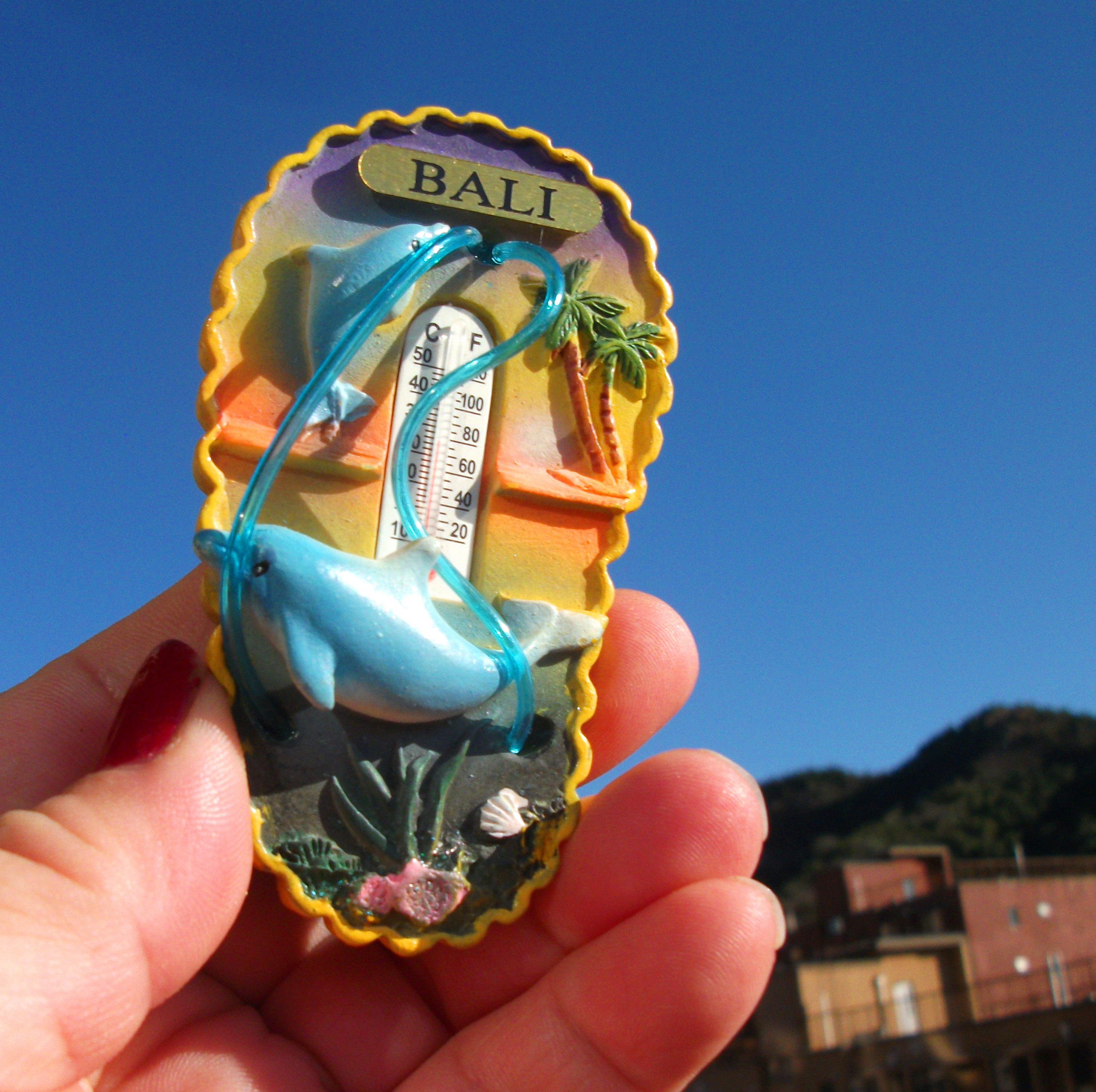 巴厘岛当地购买冰箱贴 印度尼西亚 拖鞋形 立体鞋带 温度计bali