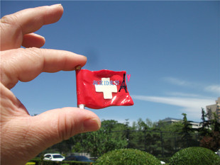 世界旅游纪念冰箱贴 瑞士 国旗风中飘扬的国旗 红十字SWITZERLAND