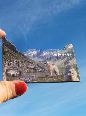 法国当地冰箱贴 比利牛斯山的动物 土拨鼠 狼 LES PYRENEES 木质