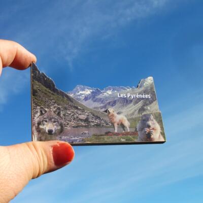 法国当地冰箱贴比利牛斯动物