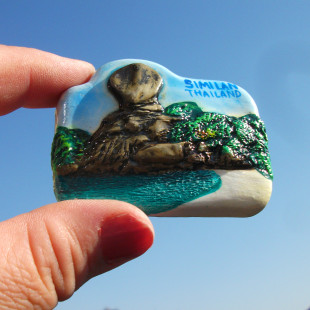 泰国当地购买冰箱贴 旅背 PHI PHI 岛 SIMILAN 斯米兰岛