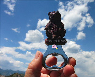 瑞士当地购买冰箱贴 开瓶器 SWITZERLAND 伯尔尼 BERN 熊出没地方