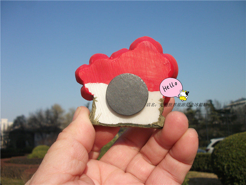 MALAYSIA LOCAL BUY FRIDGE MAGNETS SABAH RAFFLESIA DELICATE SABAH