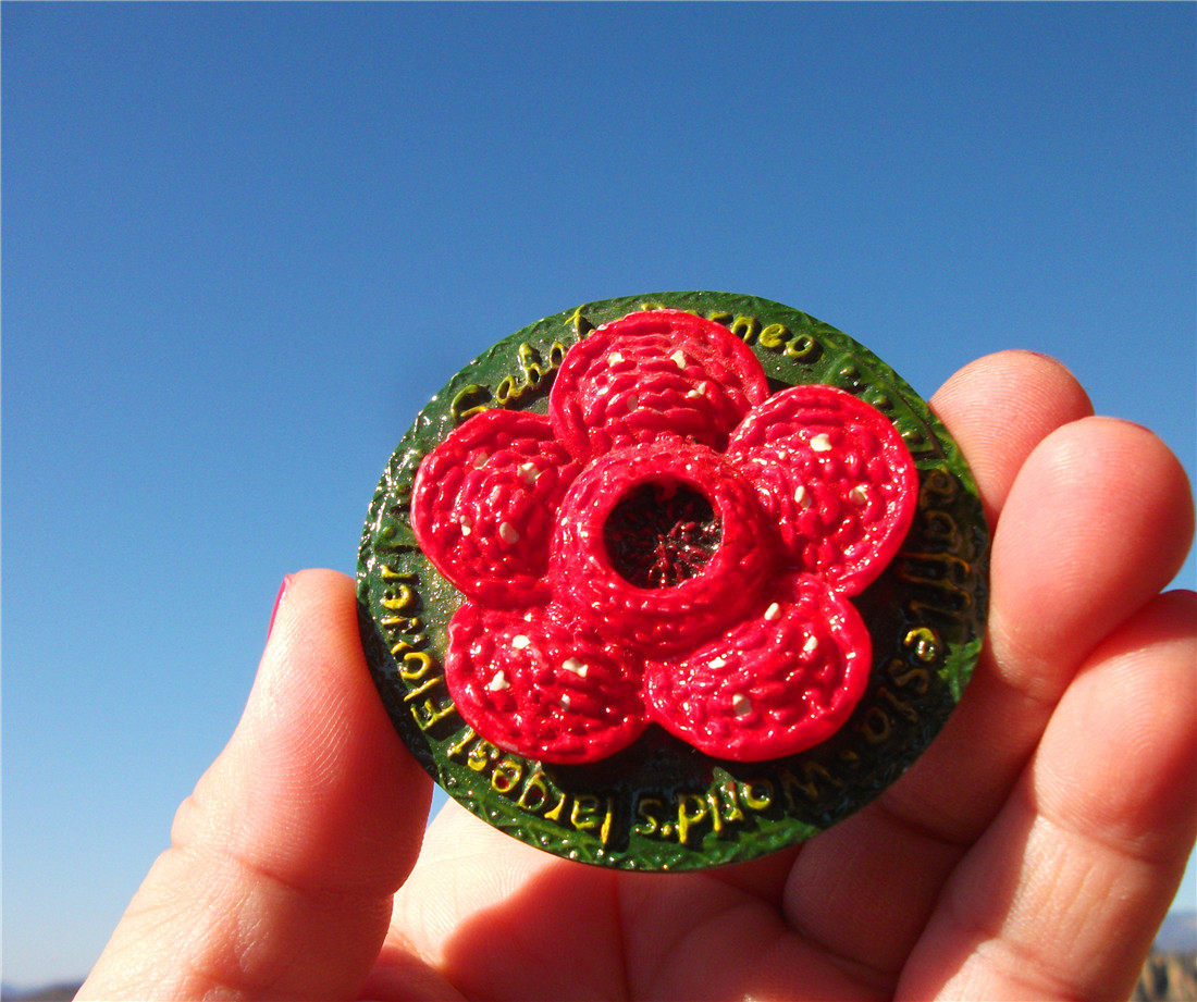 MALAYSIA LOCAL BUY FRIDGE MAGNETS SABAH RAFFLESIA DELICATE SABAH