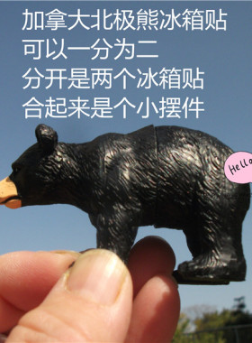 加拿大温哥华当地 CANADA 黑熊 冰箱贴 可以头身分开做摆件 国旗