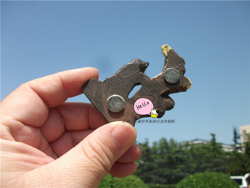 BUY FRIDGE MAGNETS LOCALLY IN SWITZERLAND BERN PLACES WHERE BEARS ARE FOUND IN SWITZERLAND A VARIETY OF BEARS