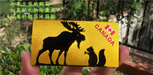 加拿大当地购买冰箱贴旅背  CANADA MOOSE和松鼠一对好朋友 剪影