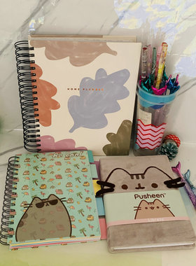 原单美国PUSHEEN GUND胖吉猫笔记本/超大厚线圈计划本俩件包邮