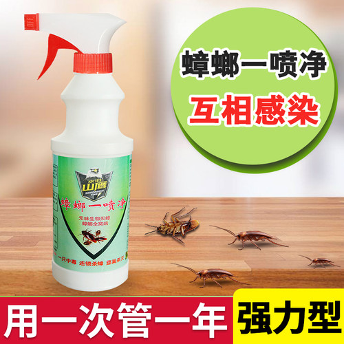 水泊山鹰灭蟑螂药一锅端强效传染