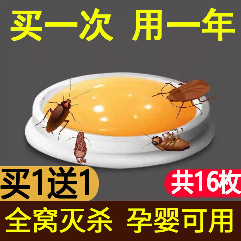 蟑螂药家用非无毒杀蟑胶饵正品绝杀虫剂（卫生农药）