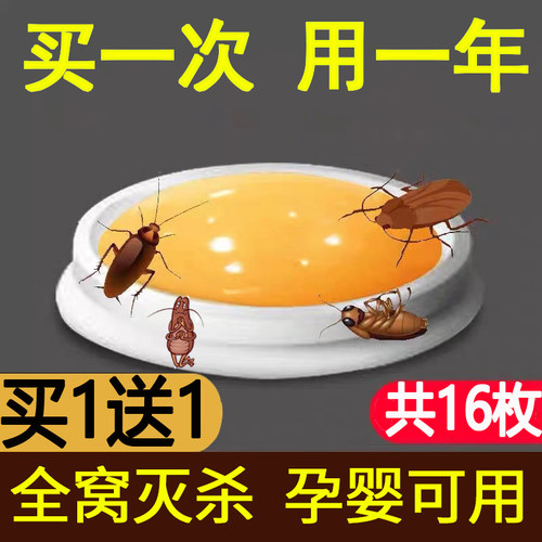 蟑螂药家用无毒一窝端正绝杀