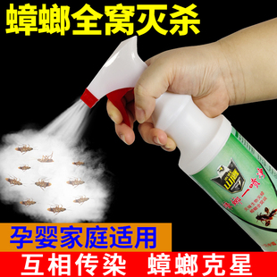 蟑螂药家用非无毒一窝全窝端下水道小飞虫灭蚂蚁杀虫剂郎樟榔神器