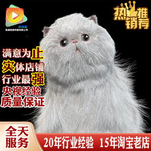 UE虚幻54人物动物怪物兽发型头发毛发unity3d代做Xgen制作zbrush