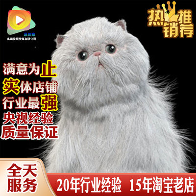 UE虚幻54人物动物怪物兽发型头发毛发unity3d代做Xgen制作zbrush