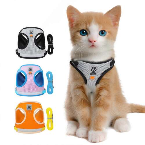猫咪牵引绳背心式宠物胸背小型犬