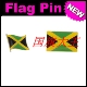 FLAG 商务会展 PIN 金属胸针 Jamaica 牙买加 国旗徽章