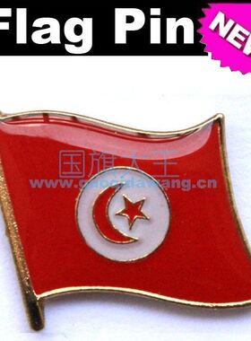 国旗突尼斯商务胸针徽章