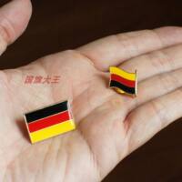 Business exhibition Chilean FLAG PIN metal brooch thumbnail 5