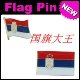 FLAG 商务会展 PIN 金属胸针 Serbia 塞尔维亚 国旗徽章