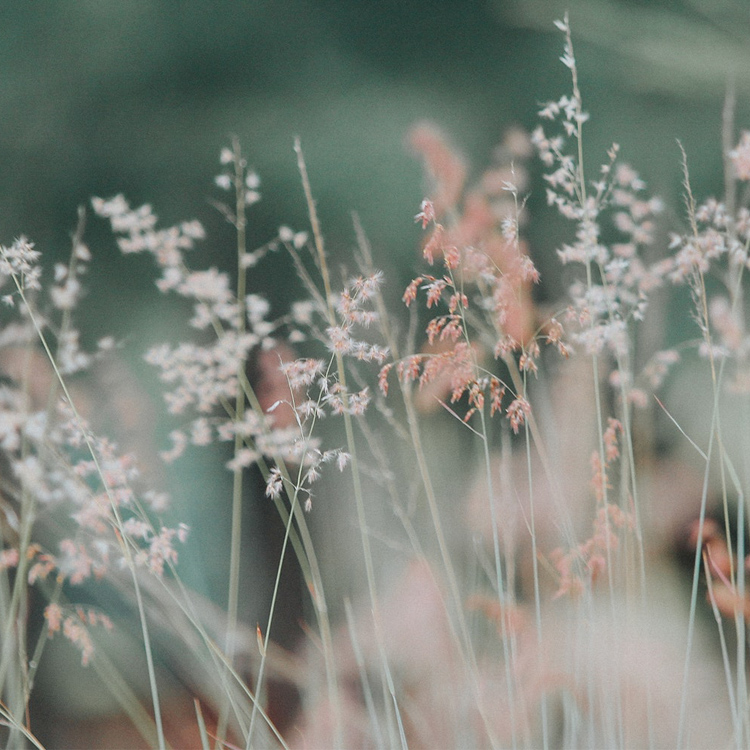 特价清仓各式各样的都有合集4