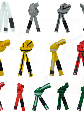 巴西柔术腰带BJJ青年儿童16岁以下等级系统Brazilian Jiu-Jitsu