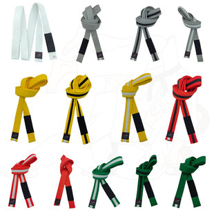 巴西柔术腰带BJJ青年儿童16岁以下等级系统Brazilian Jitsu Jiu