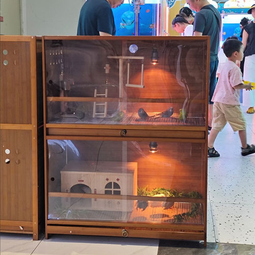 抽屉饲养箱鹦鹉芦丁鸡鸟笼温控保温育雏箱宠物仓鼠守宫蜥蜴刺猬箱