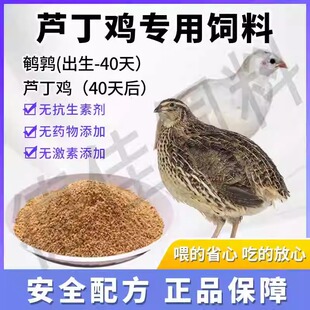 德佳饲料芦丁鸡专用产蛋粮营养均衡健康无激素高营养易进食