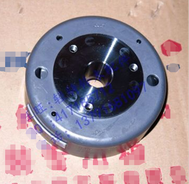 轻骑铃木摩托车磁电机转子