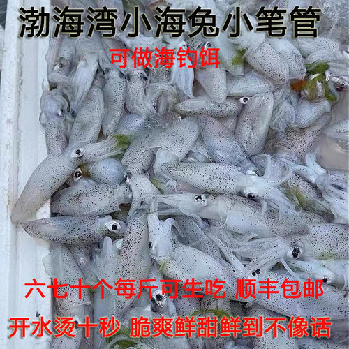 渤海湾海兔笔管超鲜
