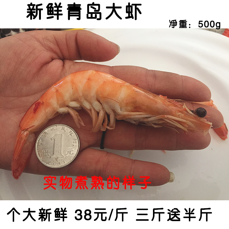 新鲜大虾海捕大虾野生对虾15cm长一斤20头 二斤包邮