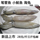 包邮 顺丰 新鲜大笔管海兔小鱿鱼吹筒500g4斤