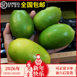 柠檬树苗台湾香水柠檬苗海南小青桔苗带土带叶结果树海淘宝15年店