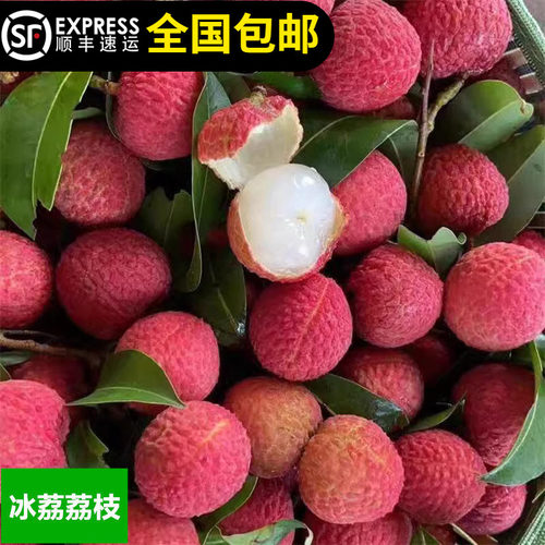 糯米荔枝苗冰荔枝带土带叶桂味