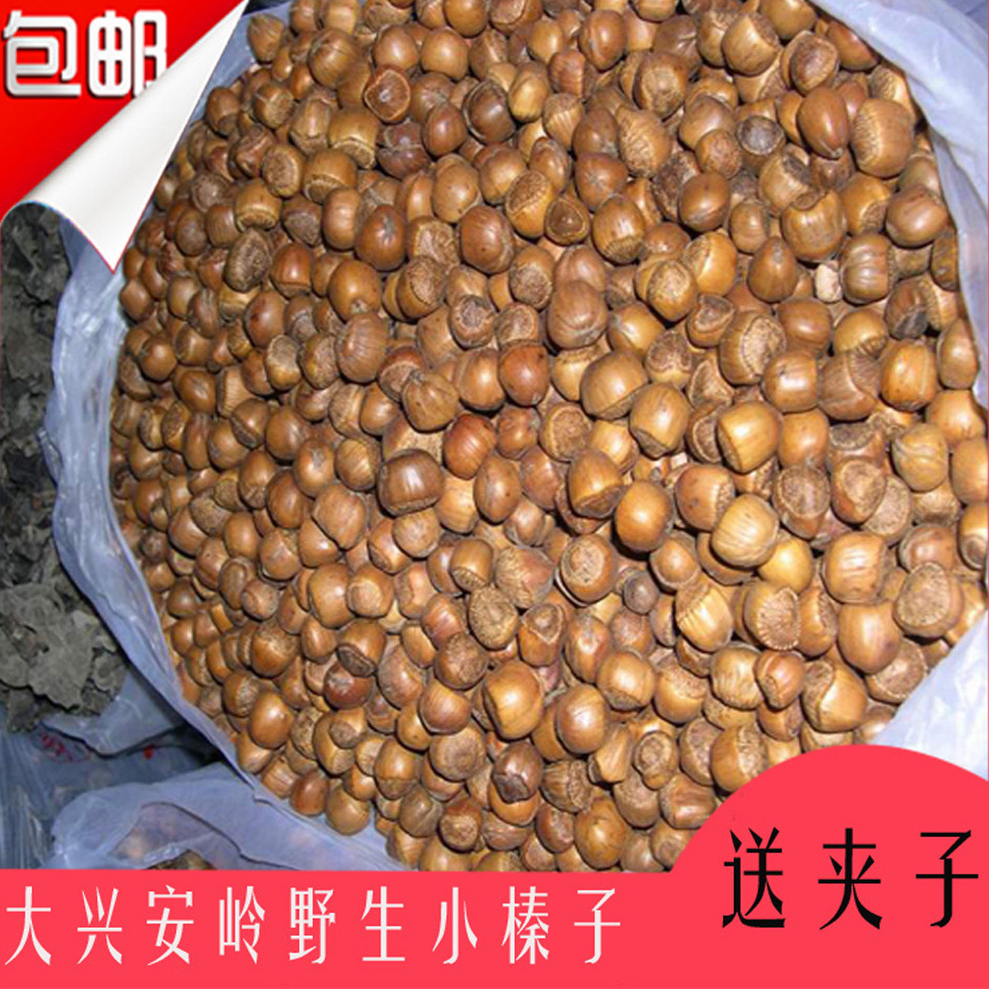 新货东北特产野生榛子无坏籽新炒