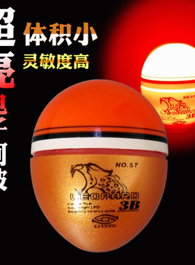 电子海钓夜光远投阿波漂
