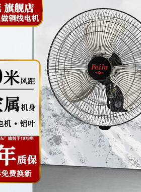 飞鹿开关盒大风量壁扇大功率商用