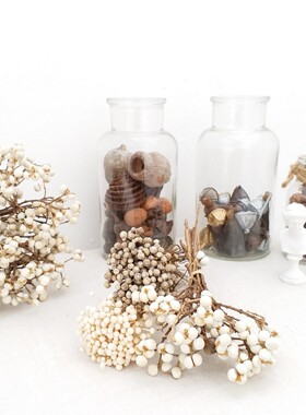 干花小白果乌桕薏仁摆设道具装饰