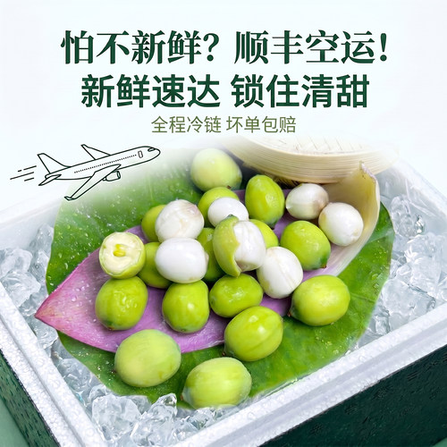 顺丰空运洪湖水果莲蓬