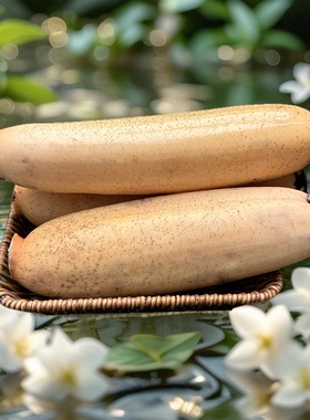 北方防冻洪湖粉藕特产莲藕新鲜煲汤正宗九孔湖北红现挖真空包装