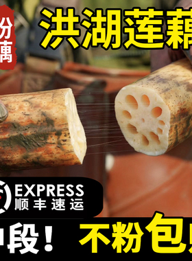 正宗洪湖粉藕湖北特产莲藕煲汤炖汤新鲜糖藕糯米藕九孔莲藕红现挖